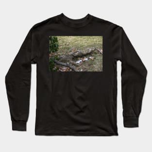 Roots have Surfaced Long Sleeve T-Shirt